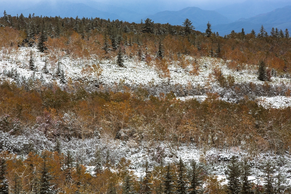 十勝岳冠雪２