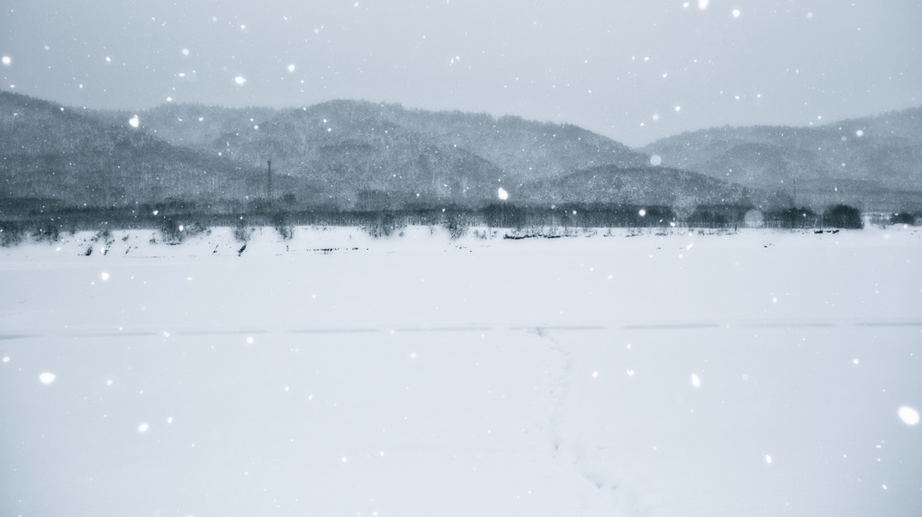 雪冬寸描５