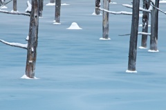 The Blue Sherbet Pond 11