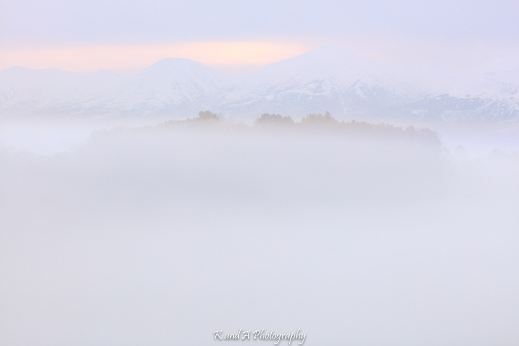 霧中淡景