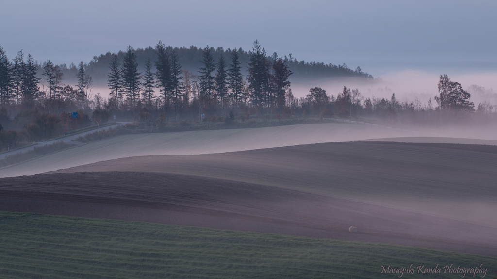 Misty October 14