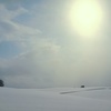White season 11