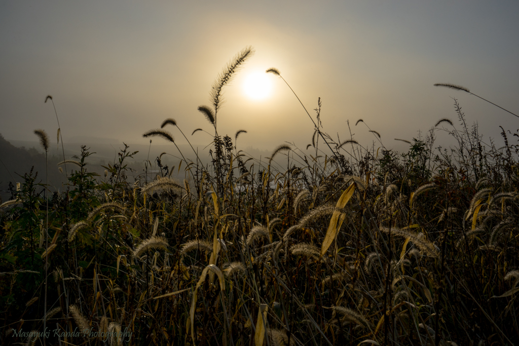 Misty October 15