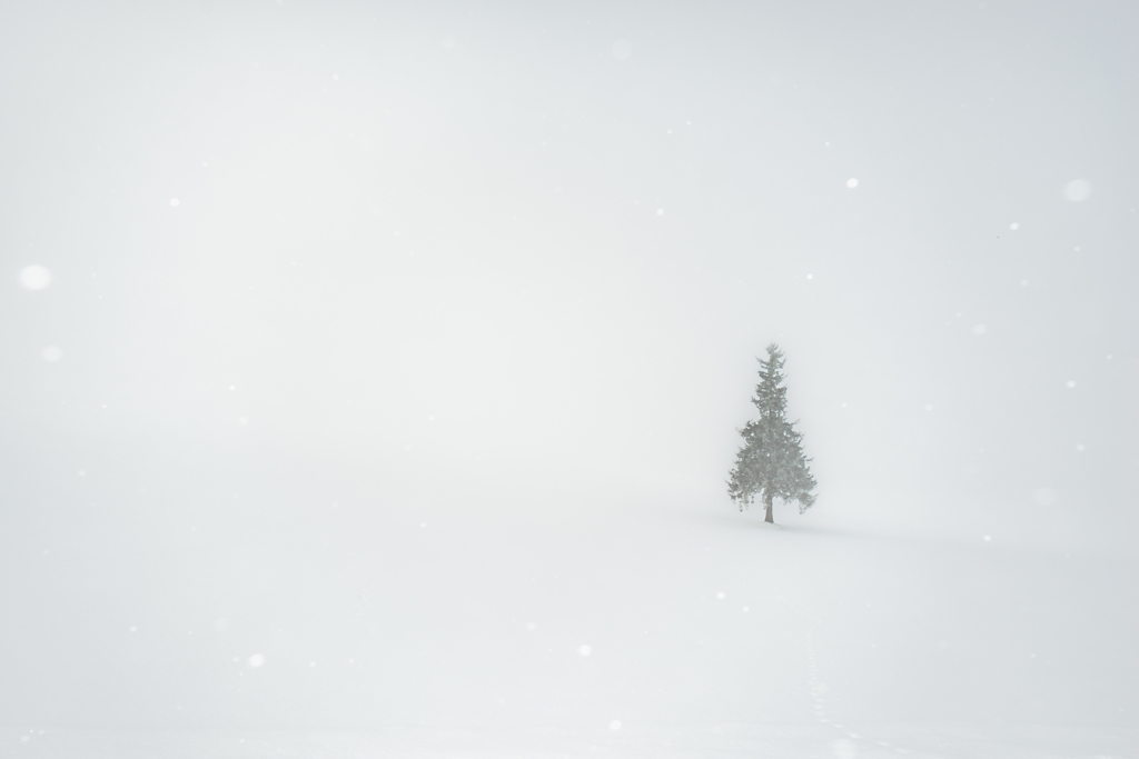 霧中雪が降る
