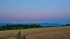 夕の惜彩