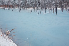 The Blue Sherbet Pond 13