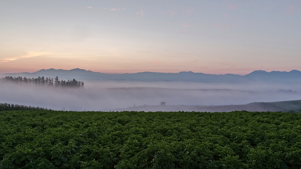 葉月霧景８