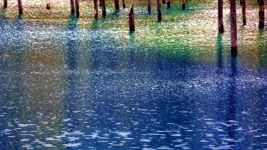 青い池　幻惑のみなも