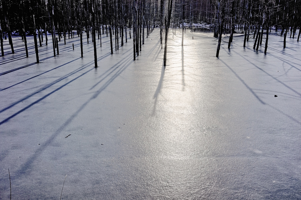 The Ice Pond 3