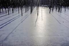 The Ice Pond 3