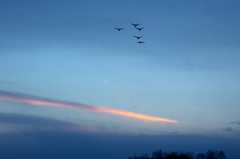 夕飛翔