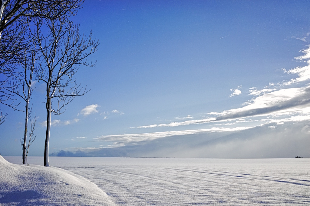 吹雪去りて