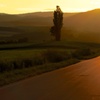 Road