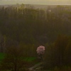 夕の一本桜