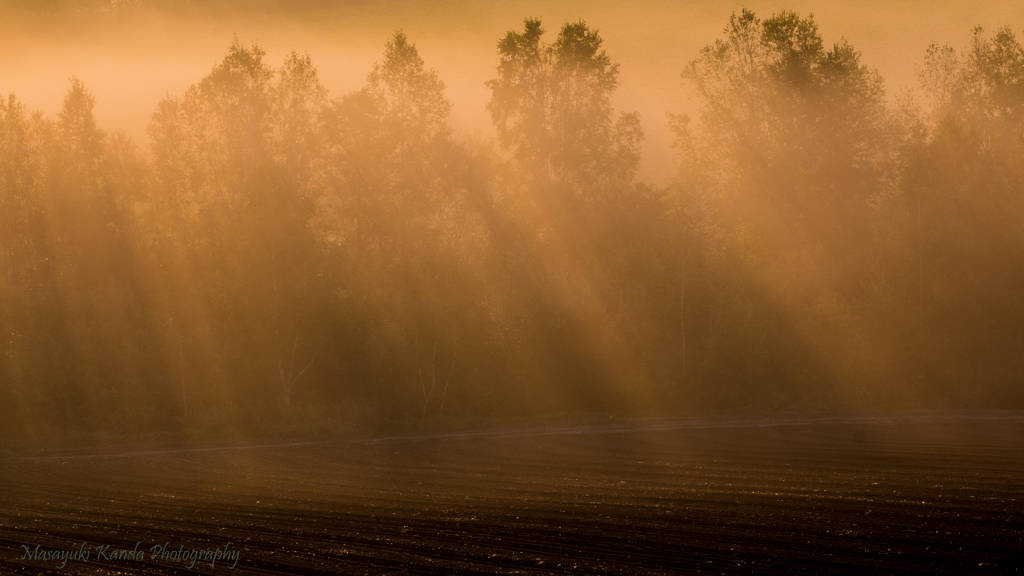 Misty September 14 光芒