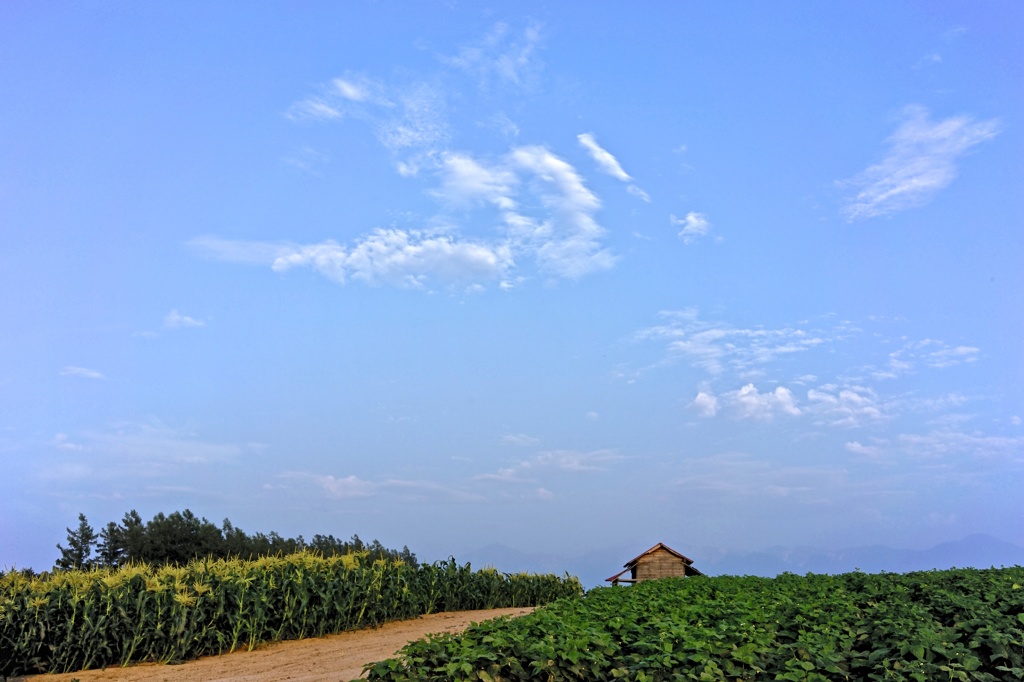 晩夏の気配