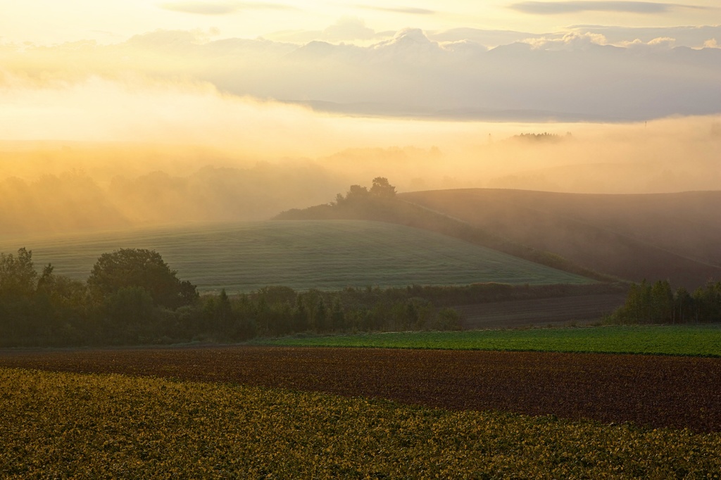 morning glow 2