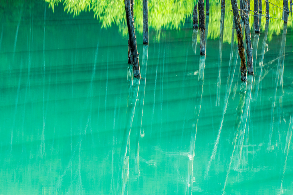春の青い池