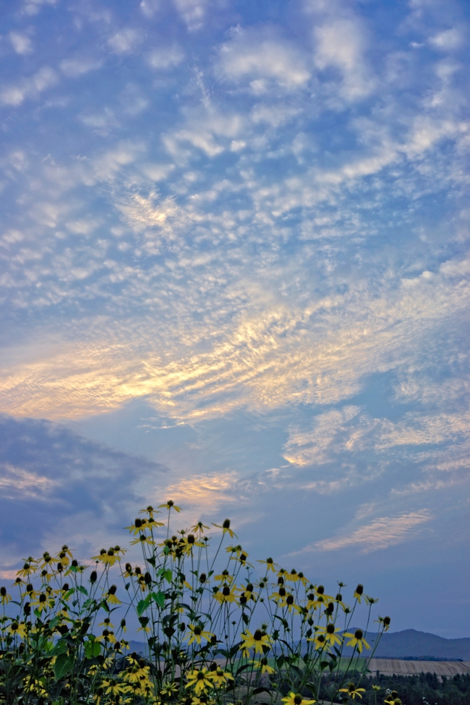 夕空