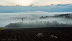 Misty September 3 漂・白