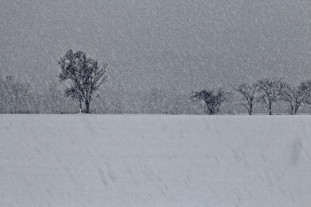 降り頻る景