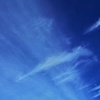 東へ駆ける