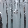 青い池　雪色に染まる