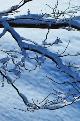 雪の胸騒ぎ