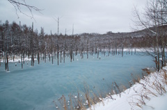 Winter　Blue