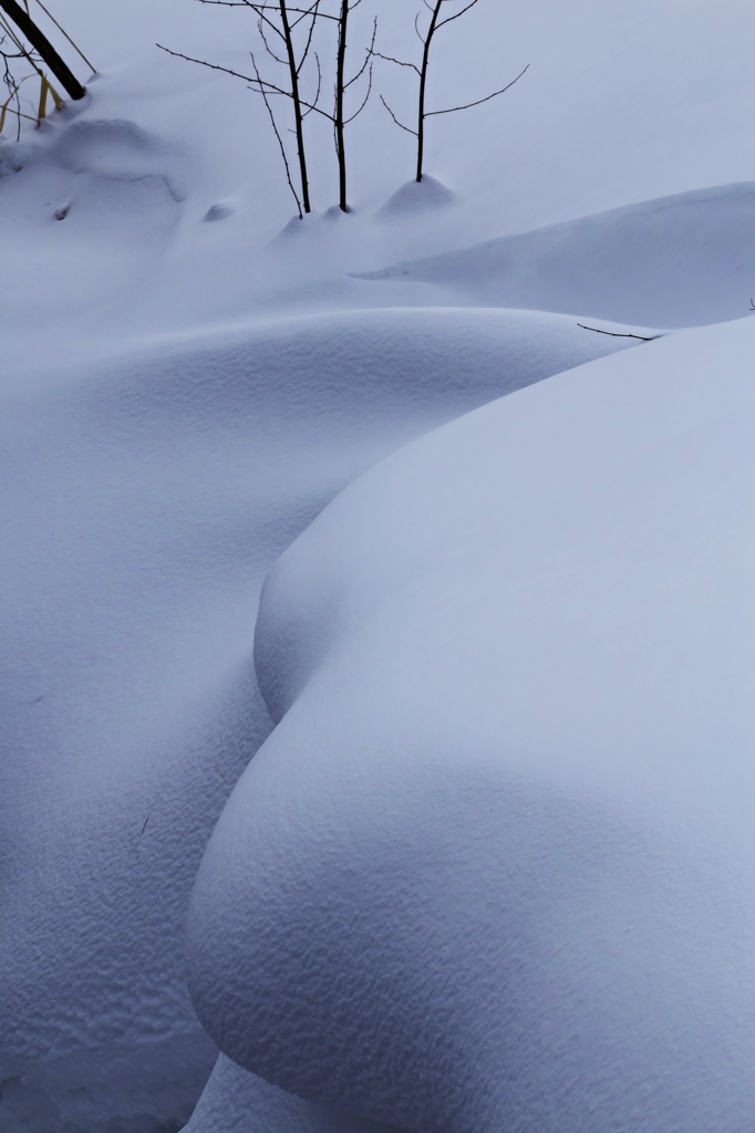 雪