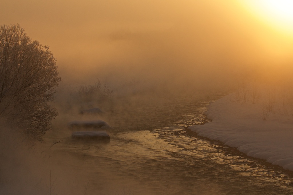 Misty morning 3