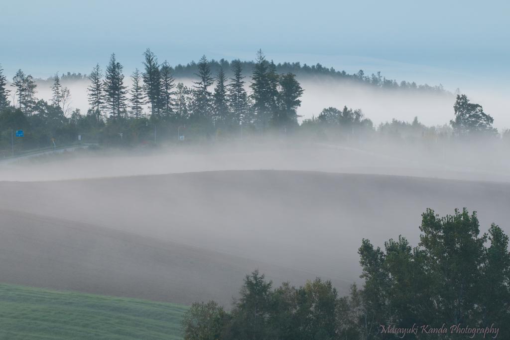 Misty September 24 漂白