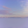 Purplish winter