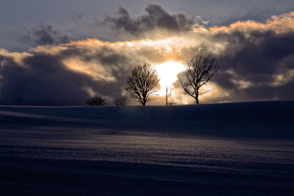 To the silence