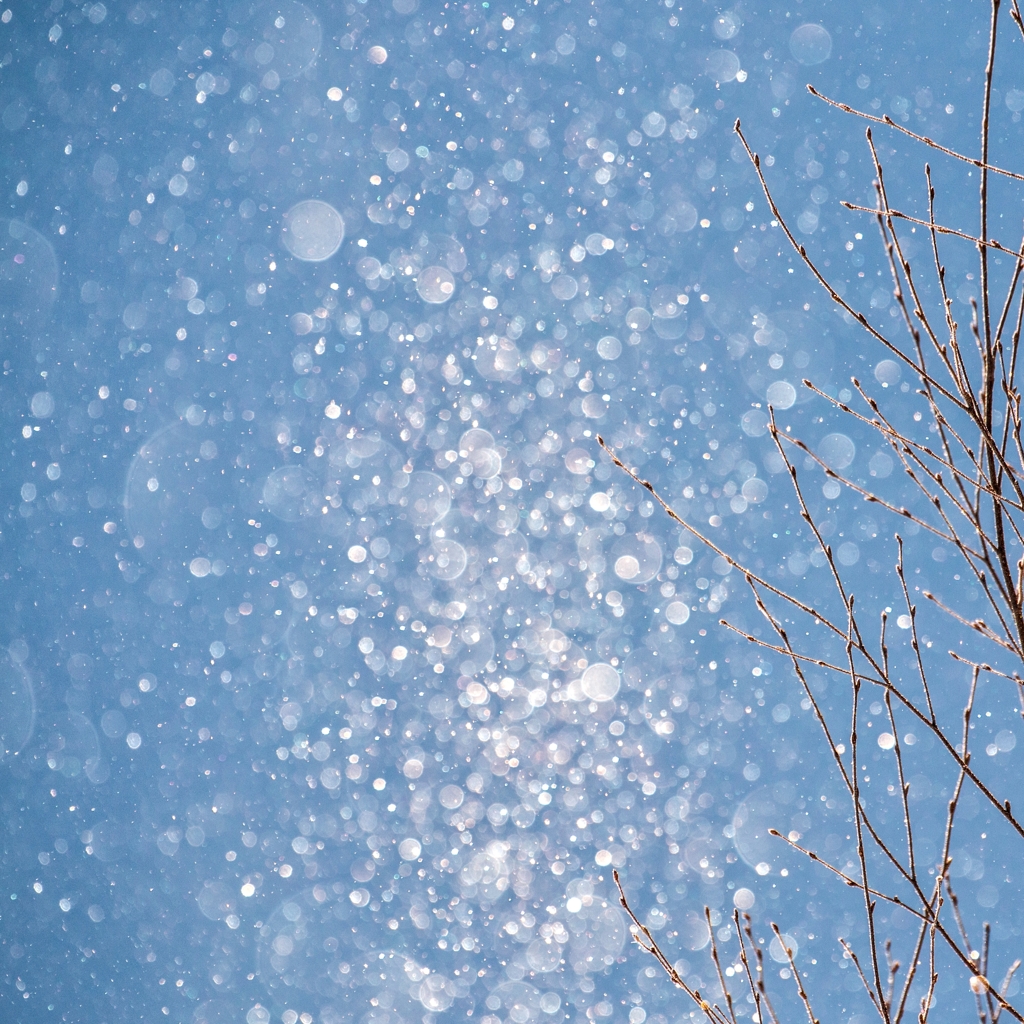Winter fairies 10