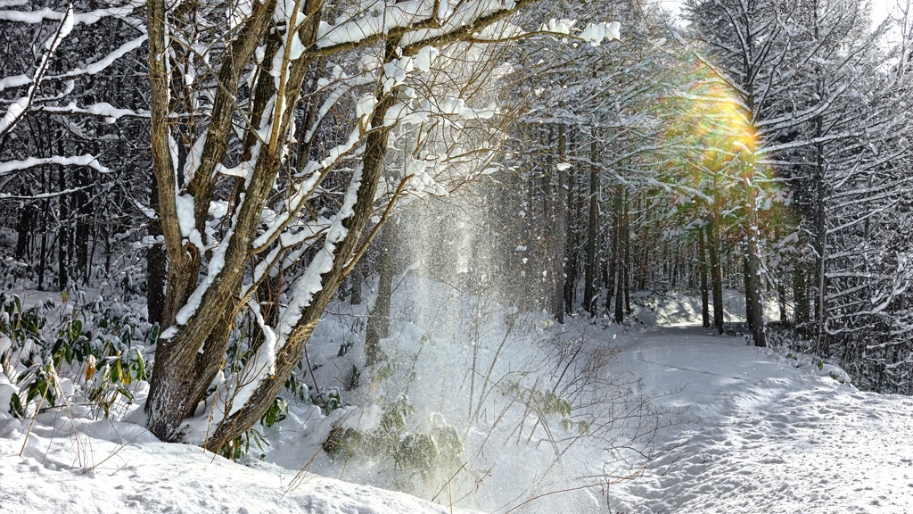 雪冬寸描６