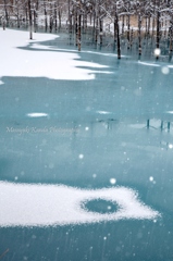 青い池　雪こんこ