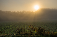 Misty October 8 霧陽