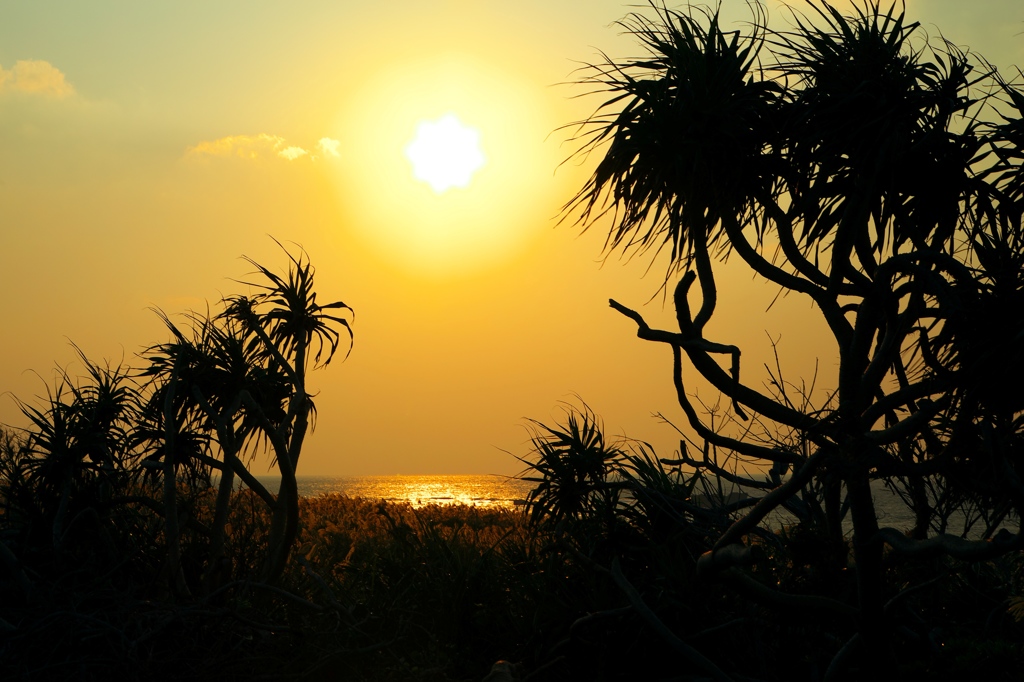 残波の夕陽