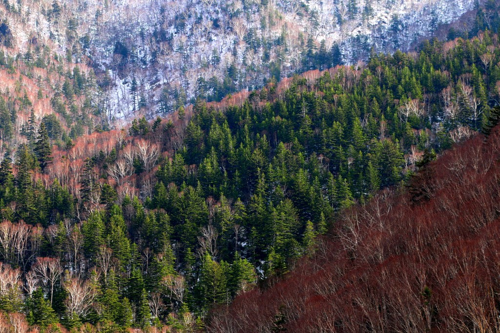 晩秋の山色