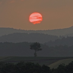 美瑛旭の夕陽