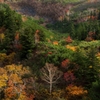 十勝岳紅葉３