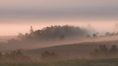 Misty September 23 流朱の霧