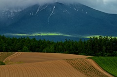 山緑なり