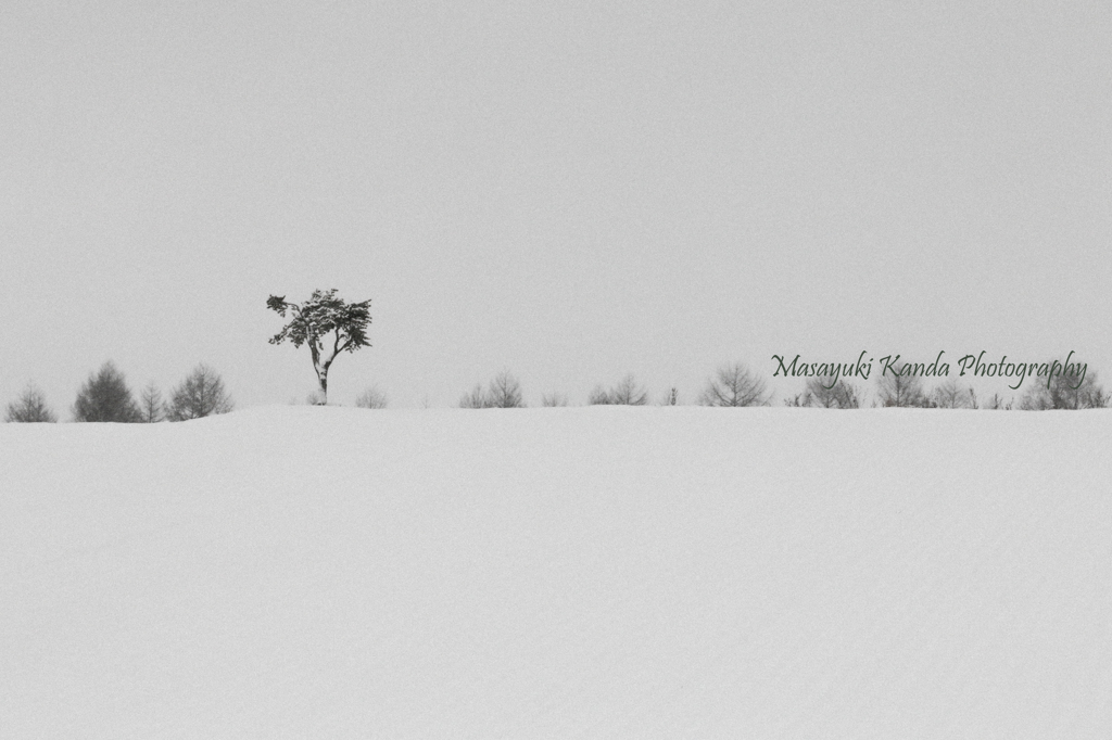 雪到来