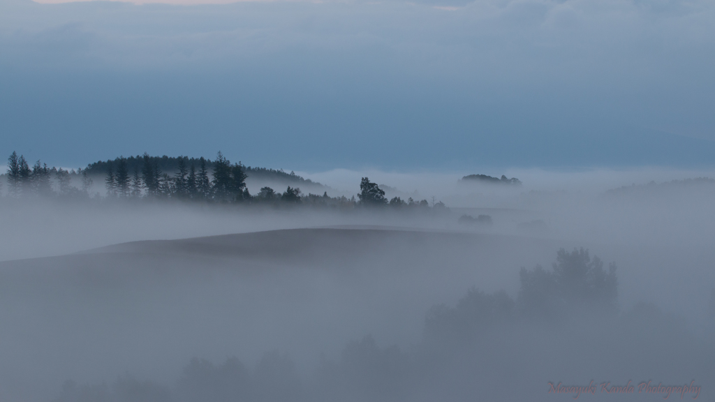 Misty September 2 覆白