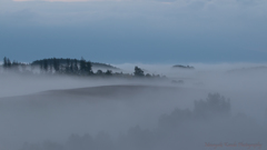 Misty September 2 覆白