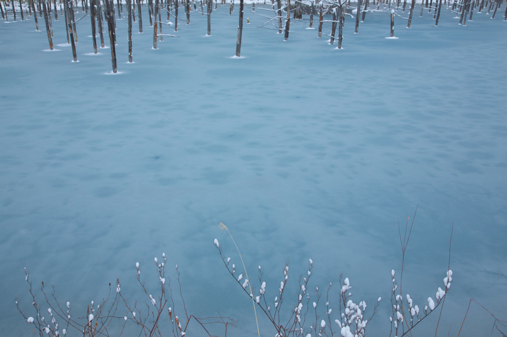 The Blue Sherbet Pond 8