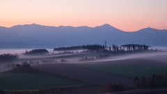 Misty October 8