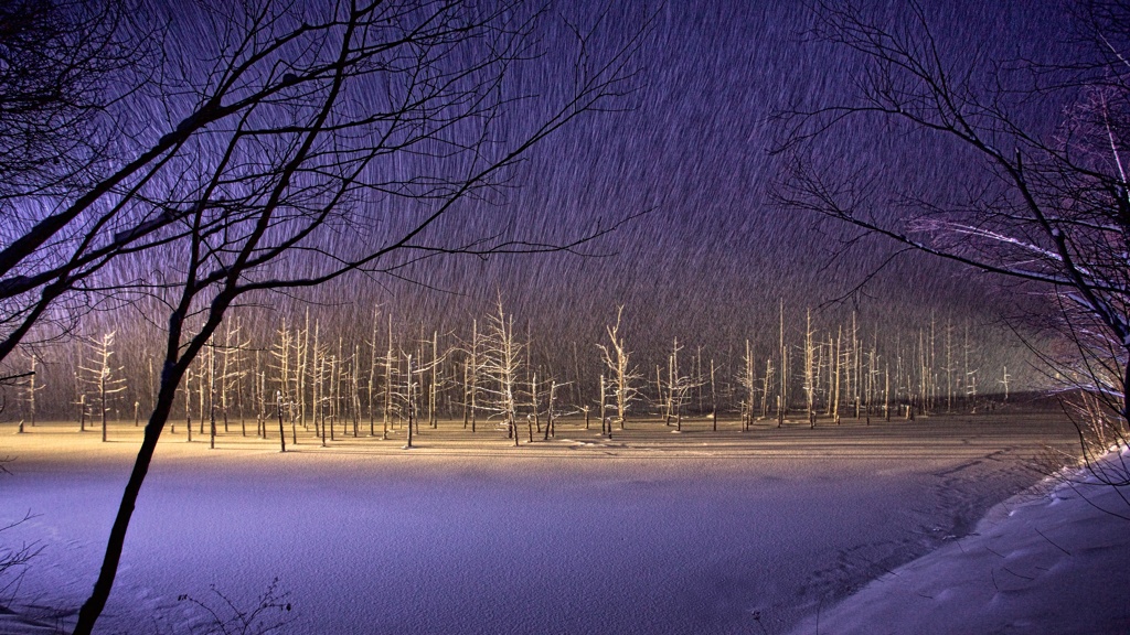 Snow Falls for Eve